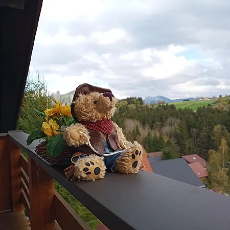 Apartment Teddy