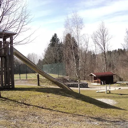 Teddy סייגסדורף