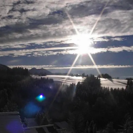 Teddy סייגסדורף