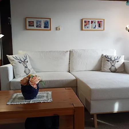 Teddy Apartment *