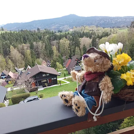 Ferienwohnung Teddy Apartmán *